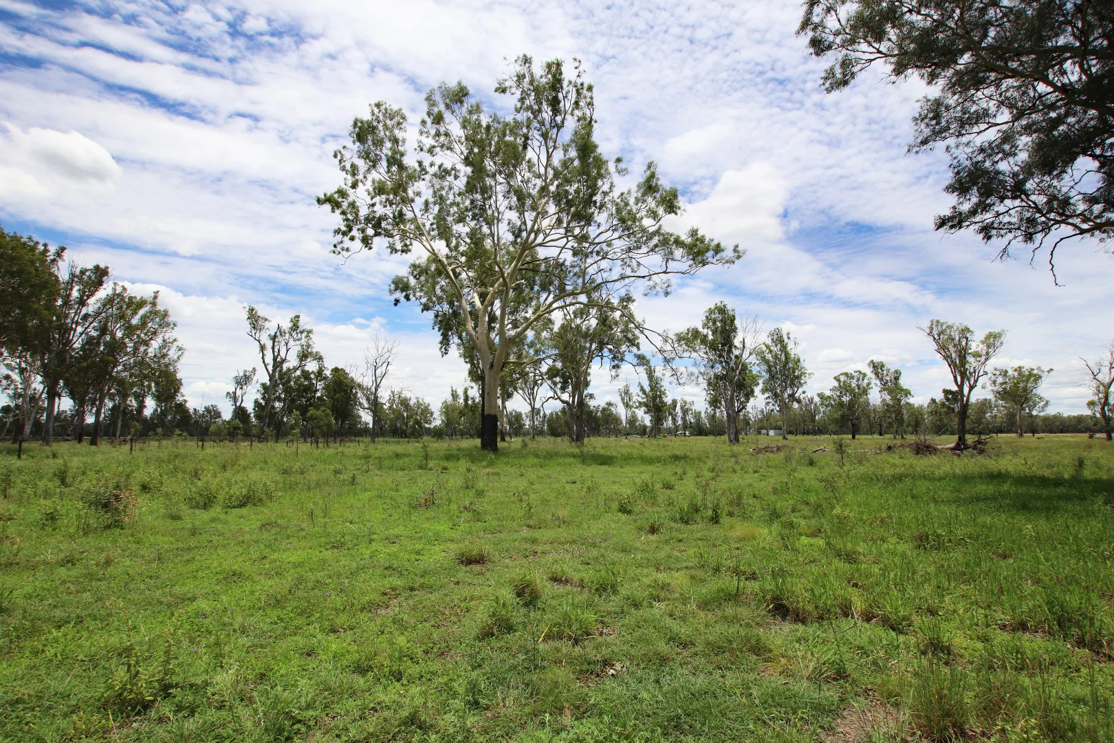 Additional image 16 of 220 Dingles Road, Dixalea QLD 4702