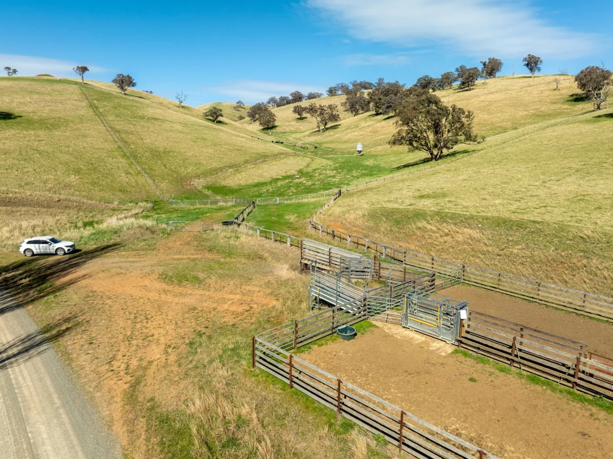 Additional image 38 of 198 Watts Creek Road, Ensay VIC 3895