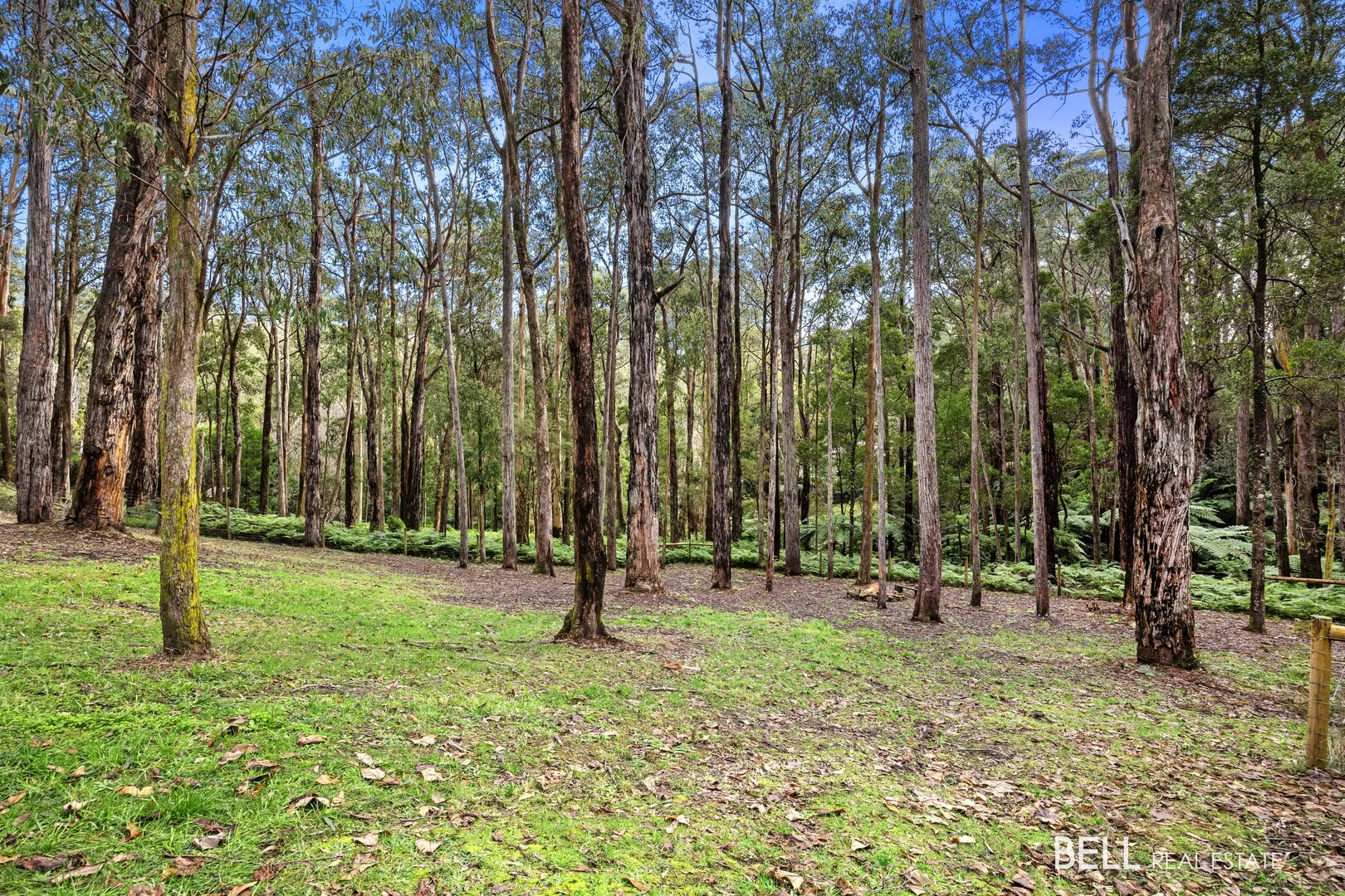 Additional image 4 of 15 Lyrebird Avenue, East Warburton VIC 3799