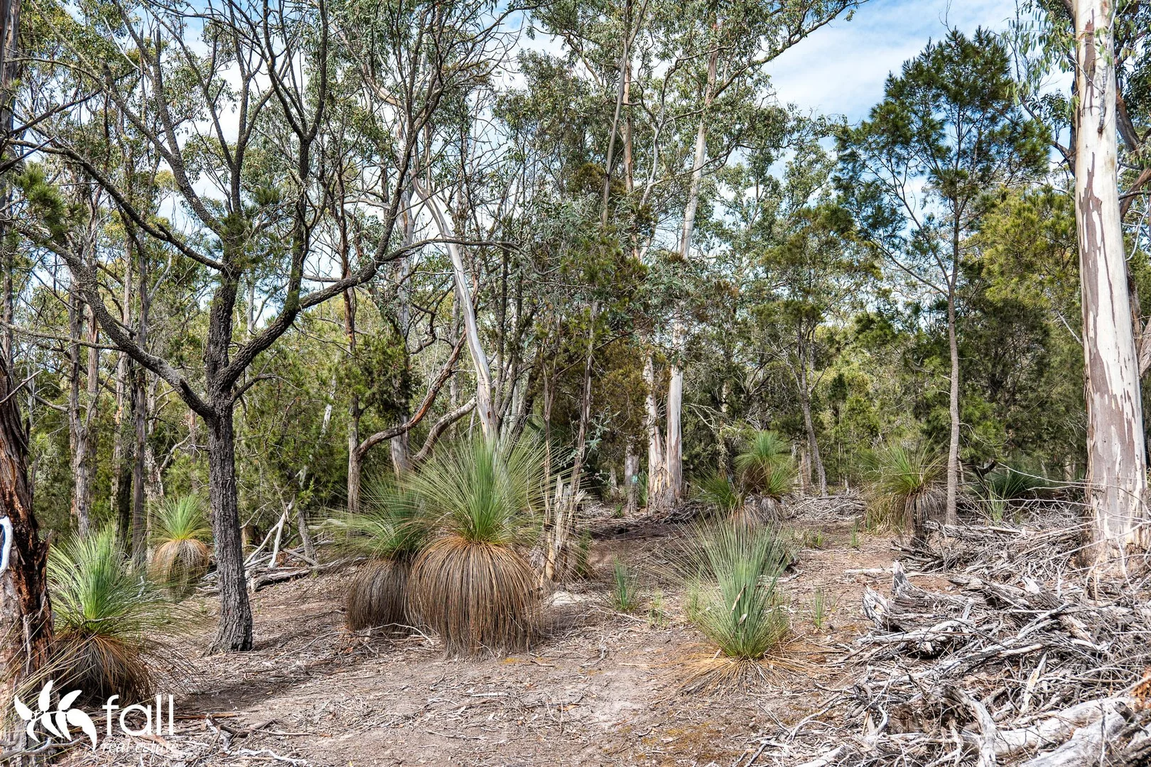Additional image 10 of 954 Killora Road, North Bruny TAS 7150