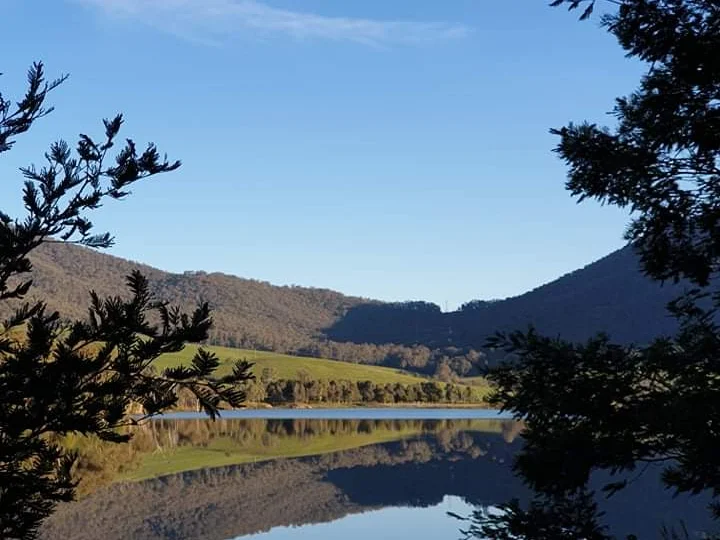 Additional image 12 of 8 Cross Avenue, Dartmouth VIC 3701