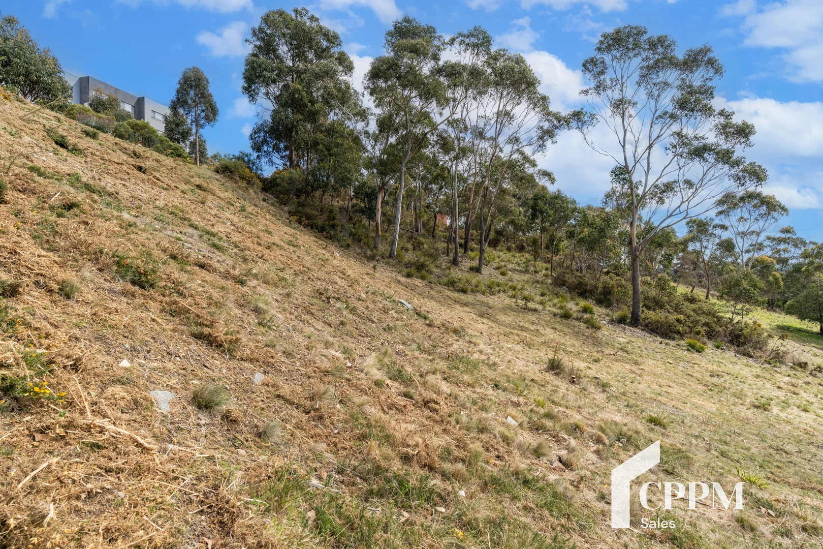 Additional image 19 of 12 Hakea Dr, Tolmans Hill TAS 7007