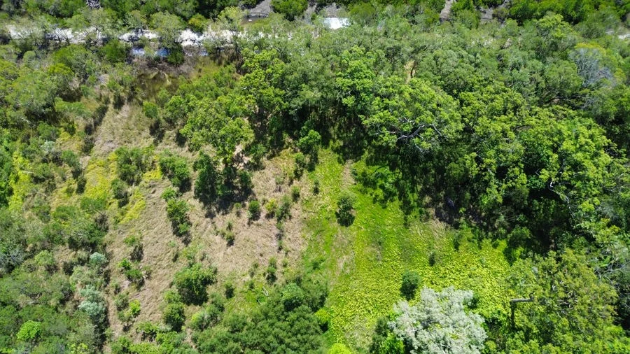 Additional image 6 of Lot 4 Pine Creek Road, East Trinity QLD 4871