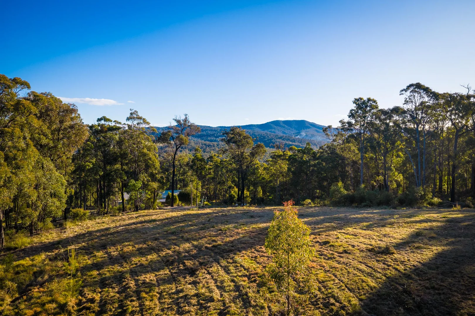 Additional image 11 of 16 Millingandi Short Cut Road, Millingandi NSW 2549