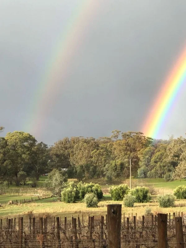 Additional image 4 of 56 Pound Lane, Guildford VIC 3451