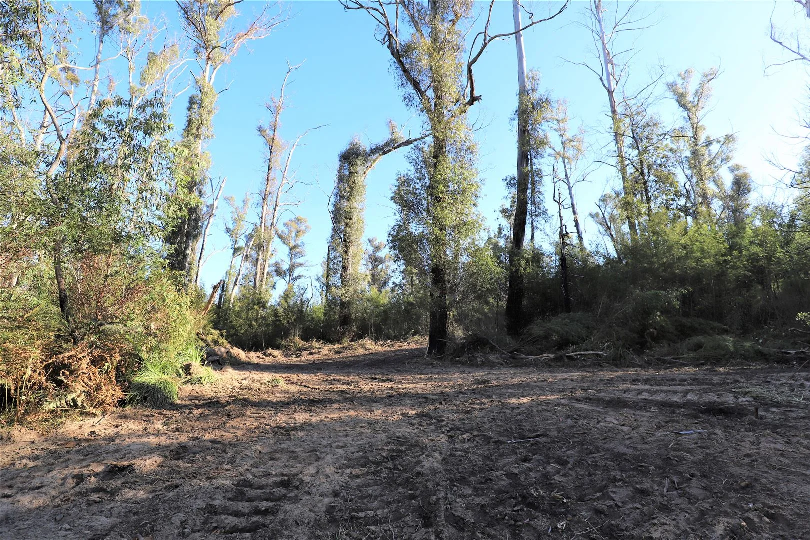 Additional image 21 of Lot 34, 35, 36, 79 Monaro Highway, Rockton NSW 2632