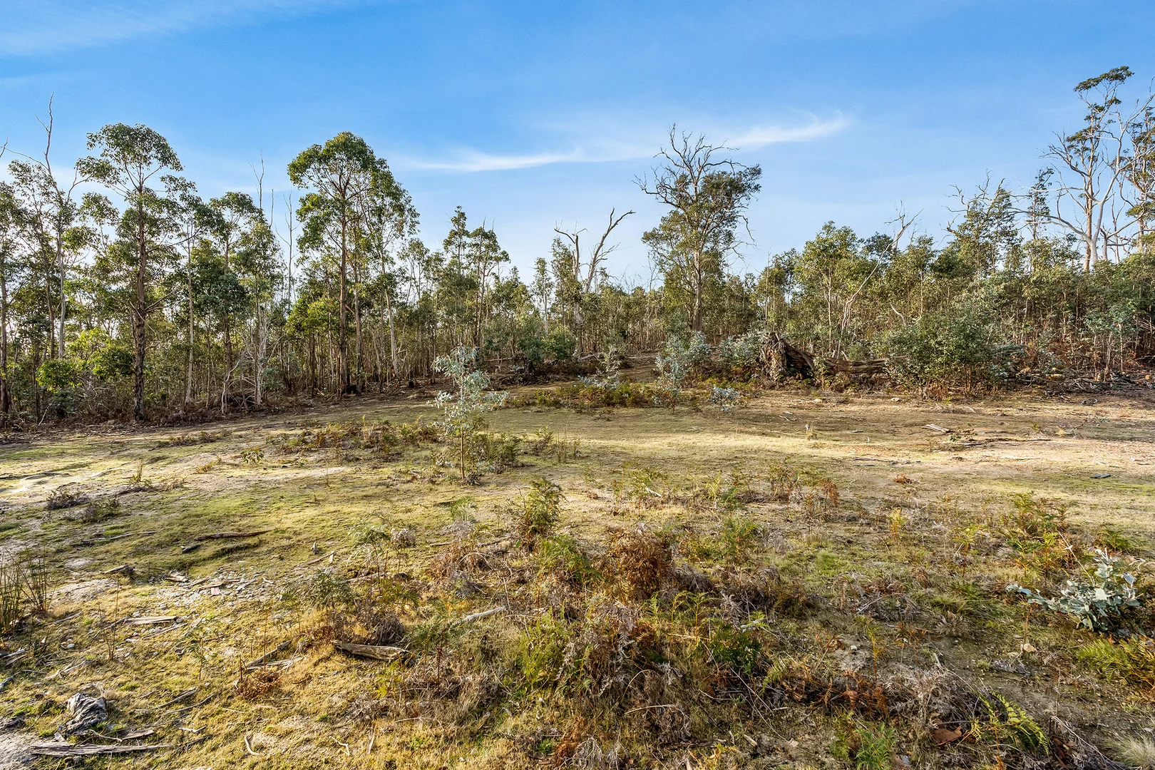 Additional image 12 of 107 Inala Road, Forcett TAS 7173