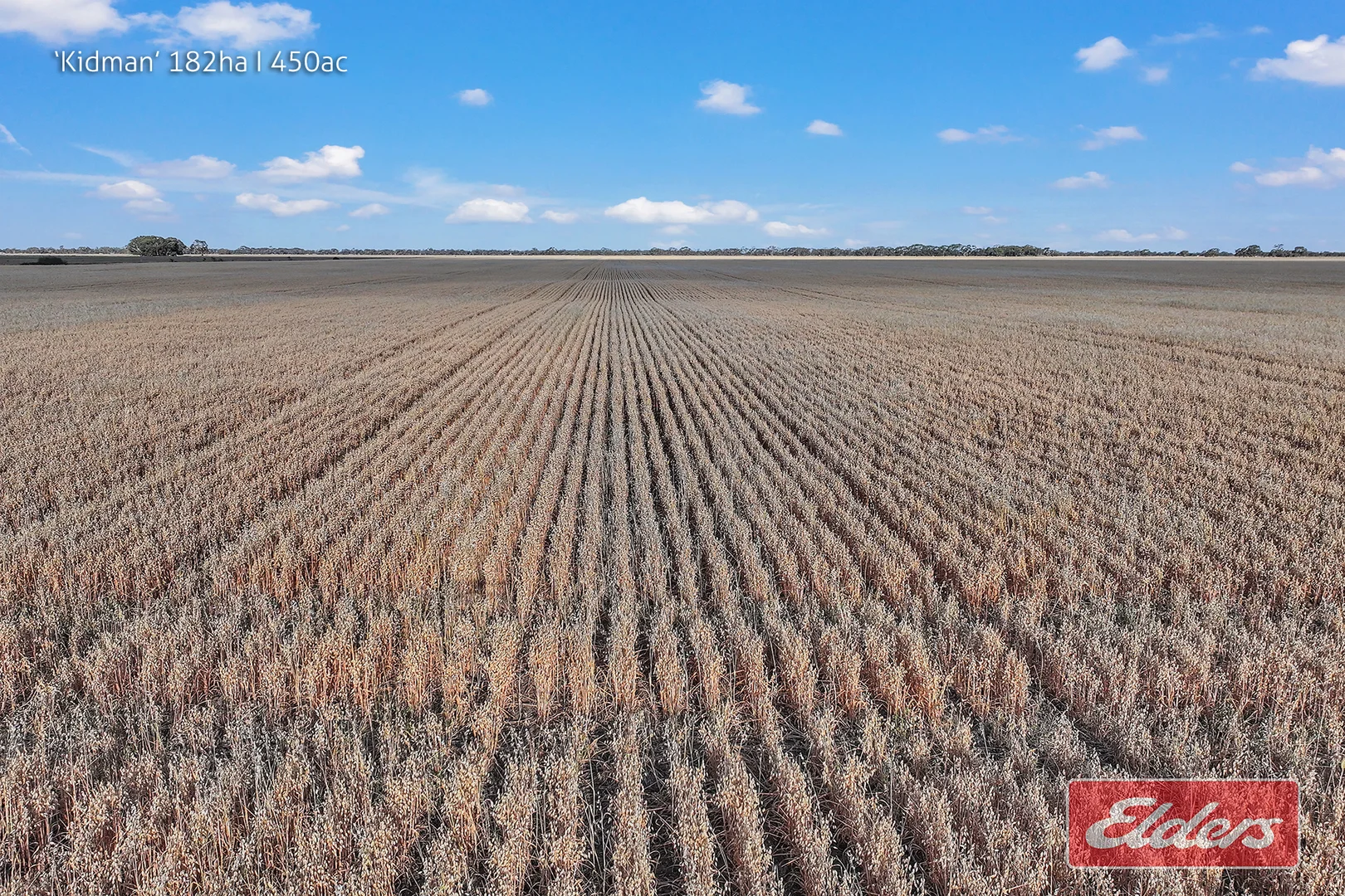 Additional image 26 of 298 Yarrawalla West Road, Yarrawalla VIC 3575