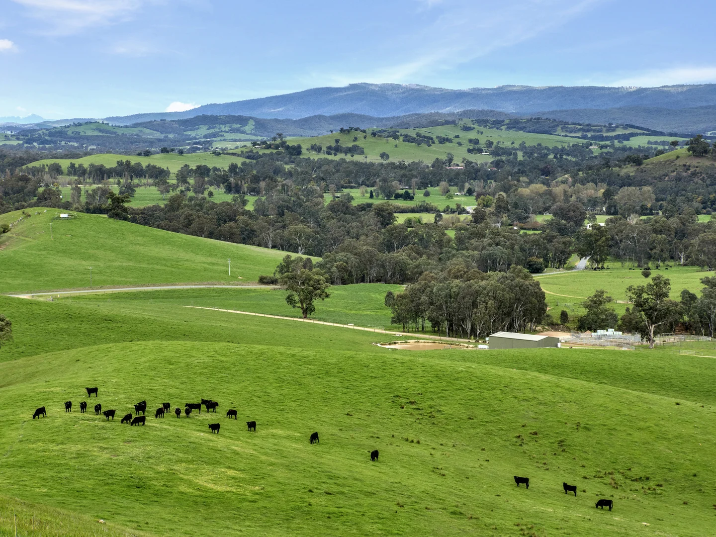 Additional image 4 of 146 Hobans Road, Alexandra VIC 3714