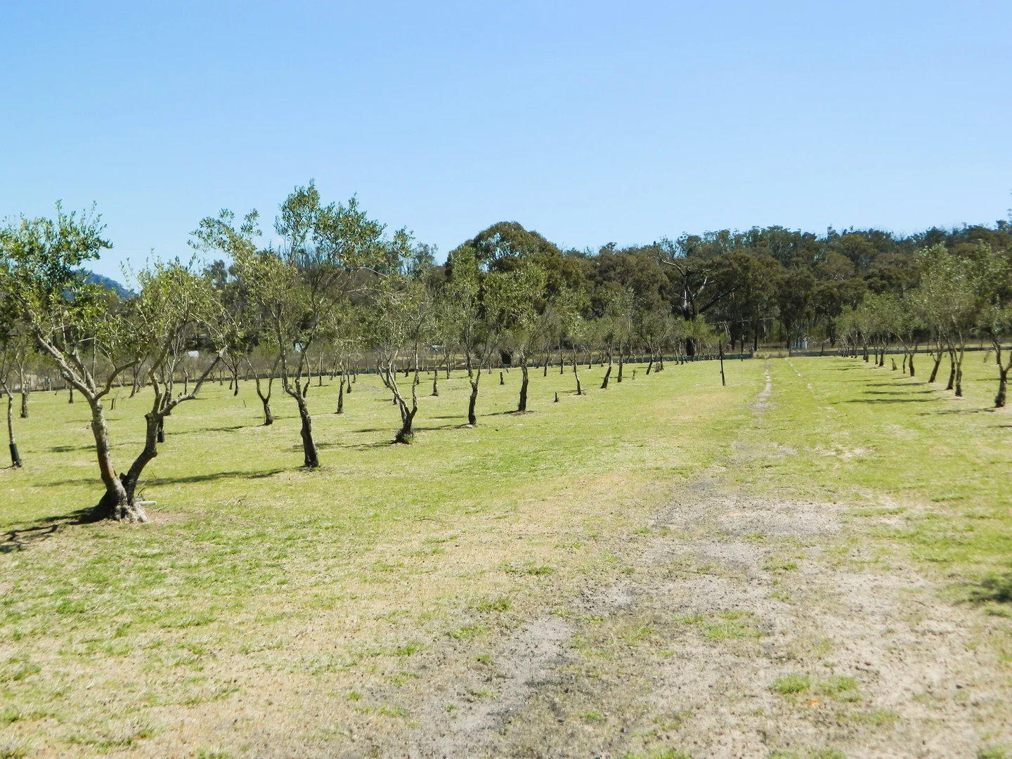 Additional image 21 of 485 Reedy Creek Road, Rylstone NSW 2849