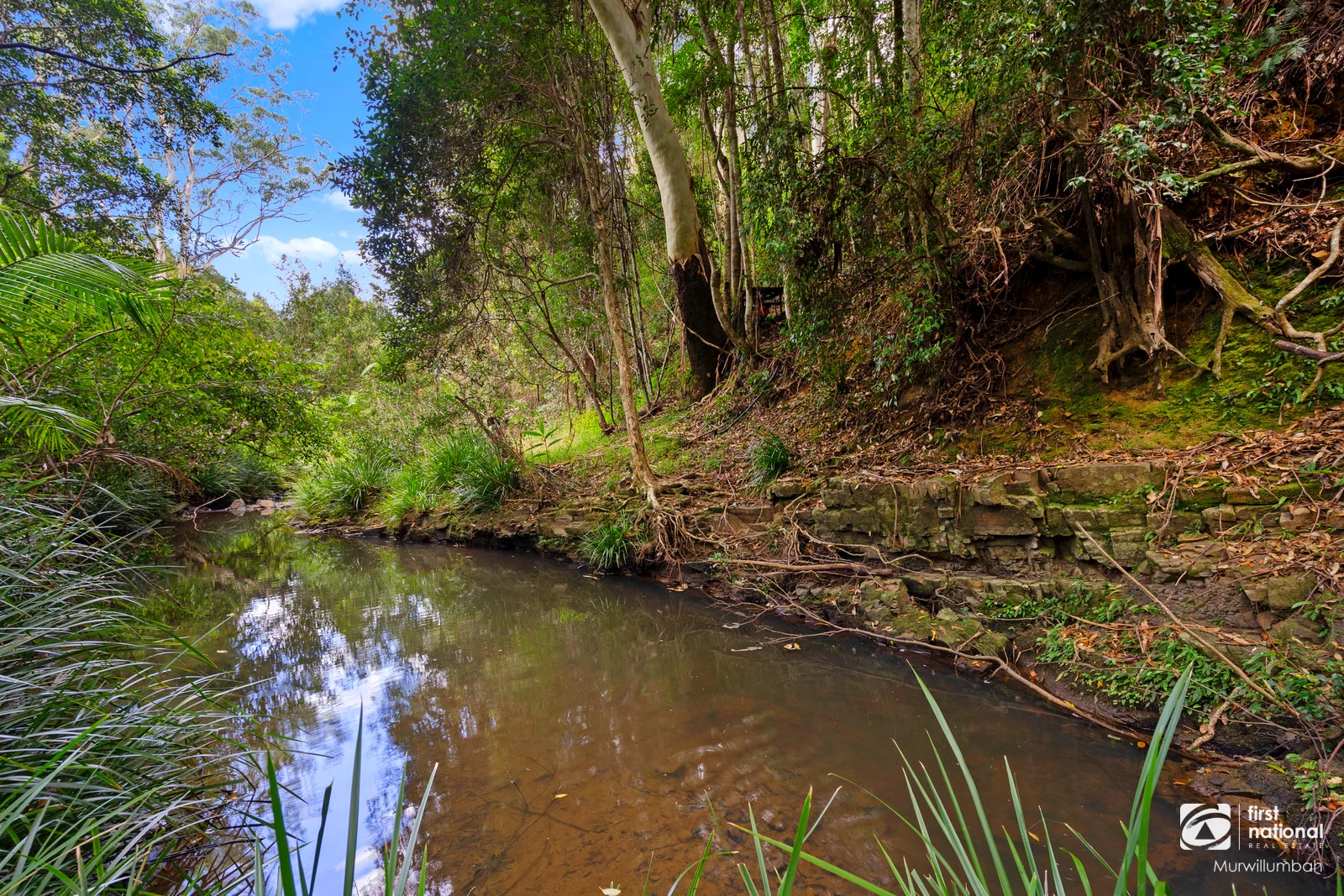 Additional image 33 of 3589 Kyogle Road, Mount Burrell NSW 2484