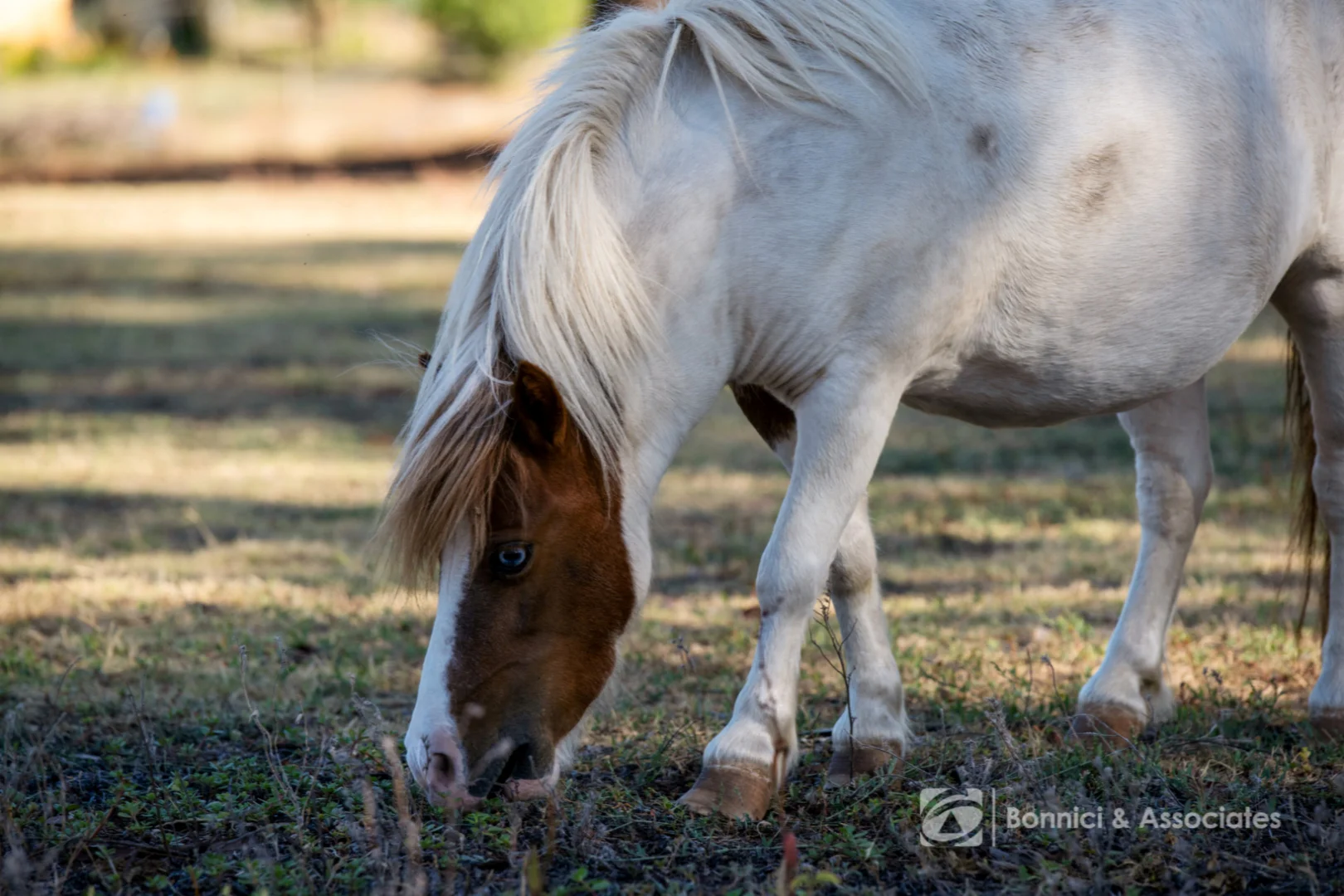 Additional image 21 of 103 Traton Street, Wahgunyah VIC 3687