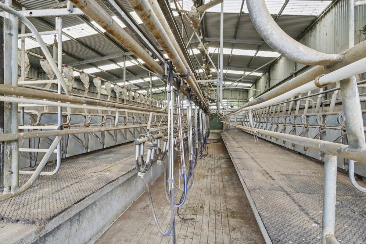 Additional image 14 of 101 Jancourt Forest Road, Carpendeit VIC 3260