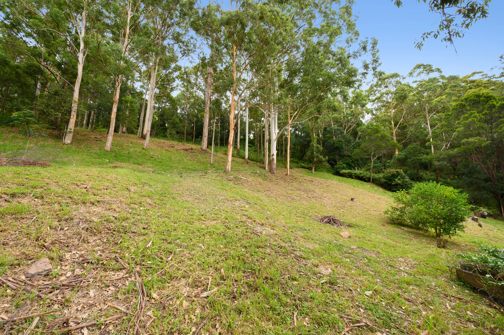 Additional image 32 of 583-587 Henri Robert Drive, Tamborine Mountain QLD 4272