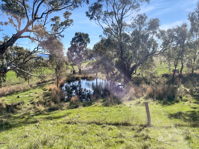 Additional image 37 of LOT 2 ON PS716983N L J DAWSON ROAD, Elmhurst VIC 3469