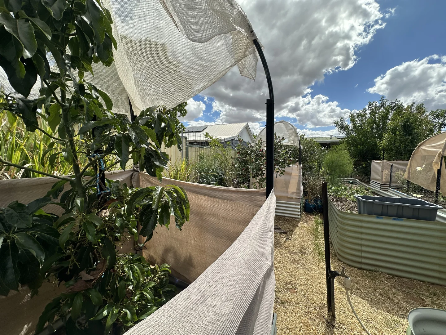 Additional image 30 of 22 Rifle North Street, Wagin WA 6315