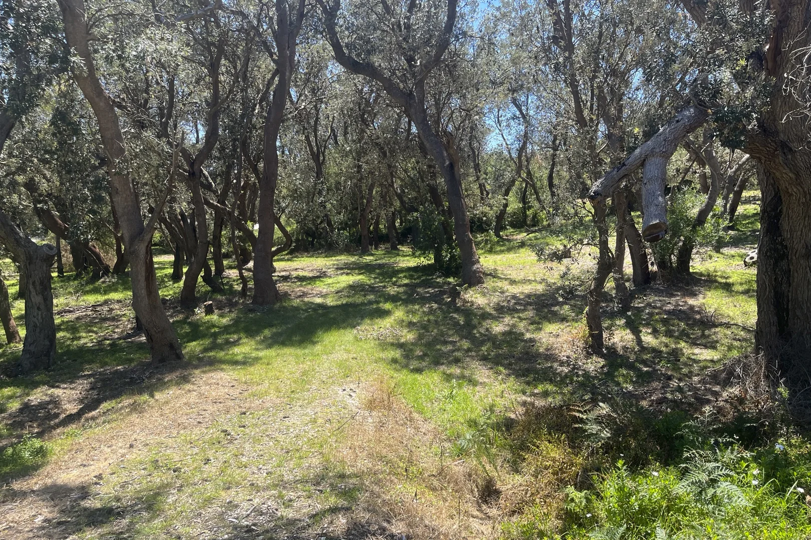 Additional image 11 of 42 Fairway Avenue, Golden Beach VIC 3851