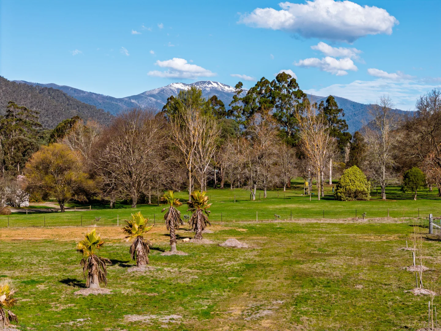 Additional image 11 of Lots 3, 5 & CA38A Great Alpine Road, Freeburgh VIC 3741