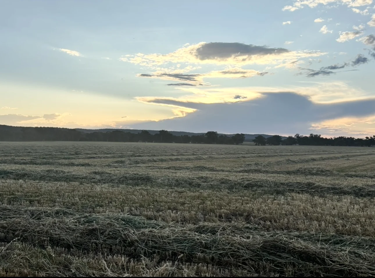 Additional image 18 of 2824 Neilrex Road, Neilrex NSW 2831