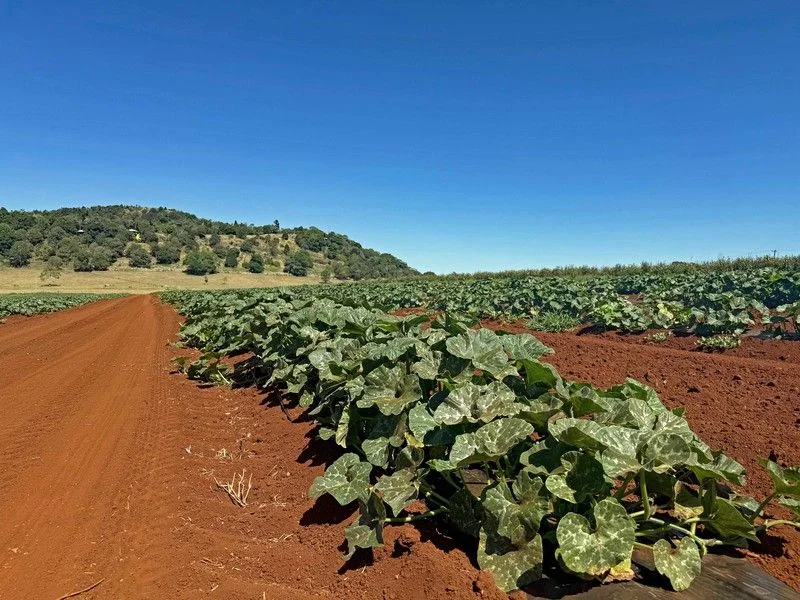 Additional image 42 of 767 Peeramon Road, Peeramon QLD 4885