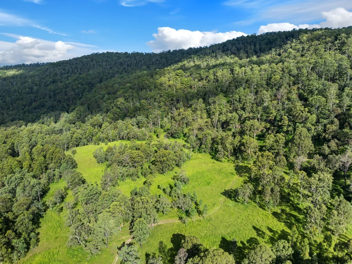 Additional image 12 of 62-69 Duck Creek Road, Bonalbo NSW 2469