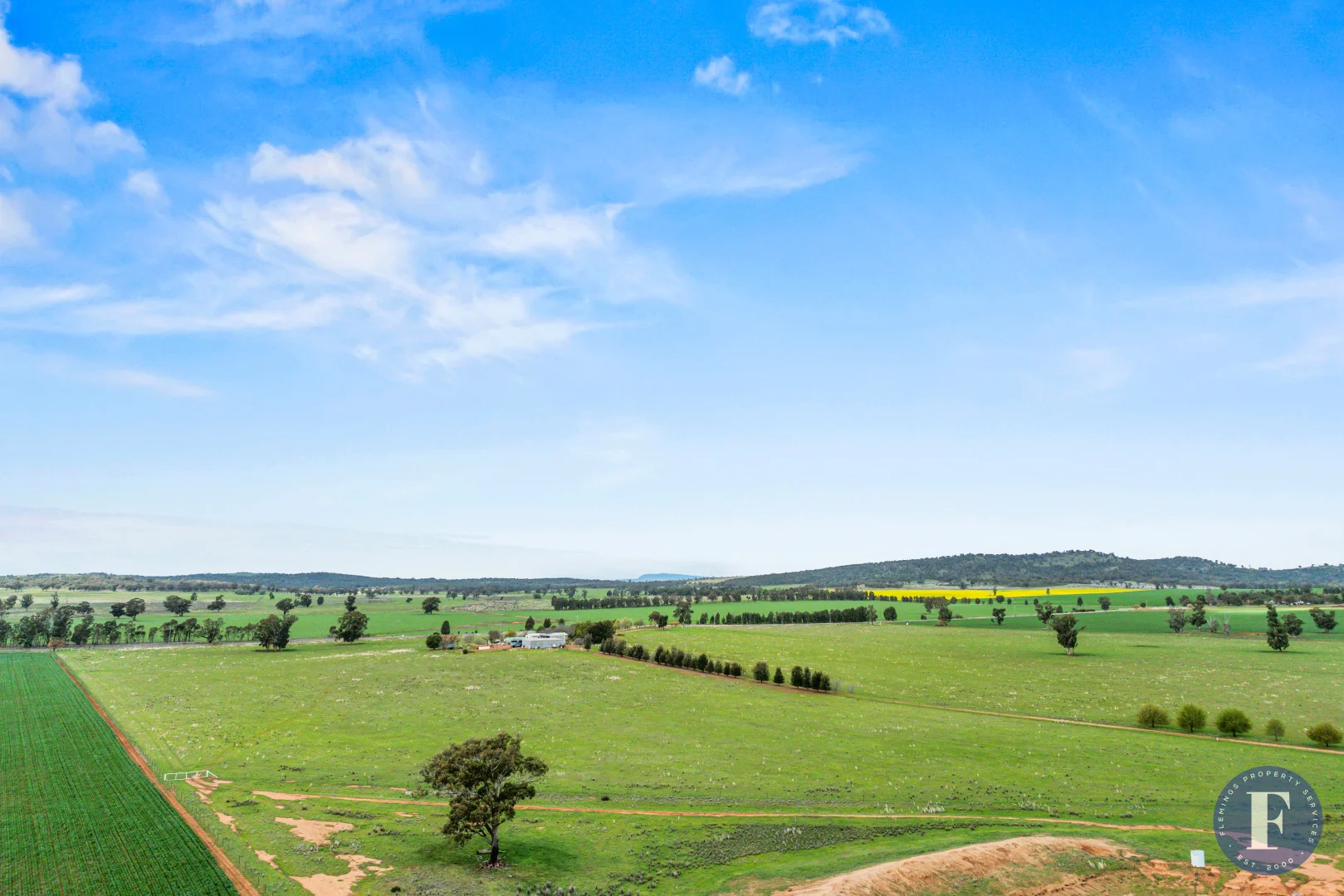 Additional image 19 of 893 Deaths Lane, Pullabooka NSW 2810