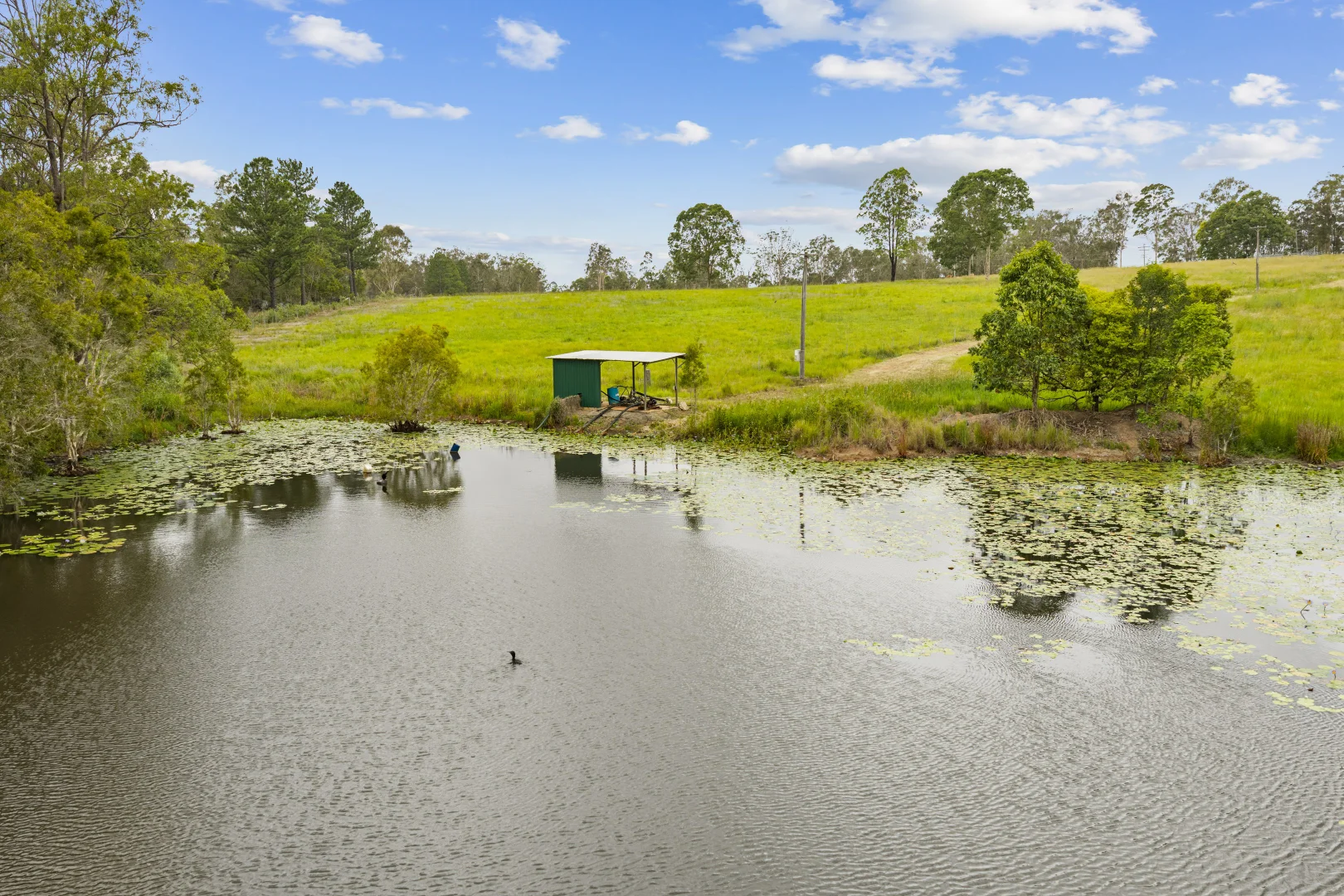 Additional image 29 of 1233 Anderleigh Road, Anderleigh QLD 4570