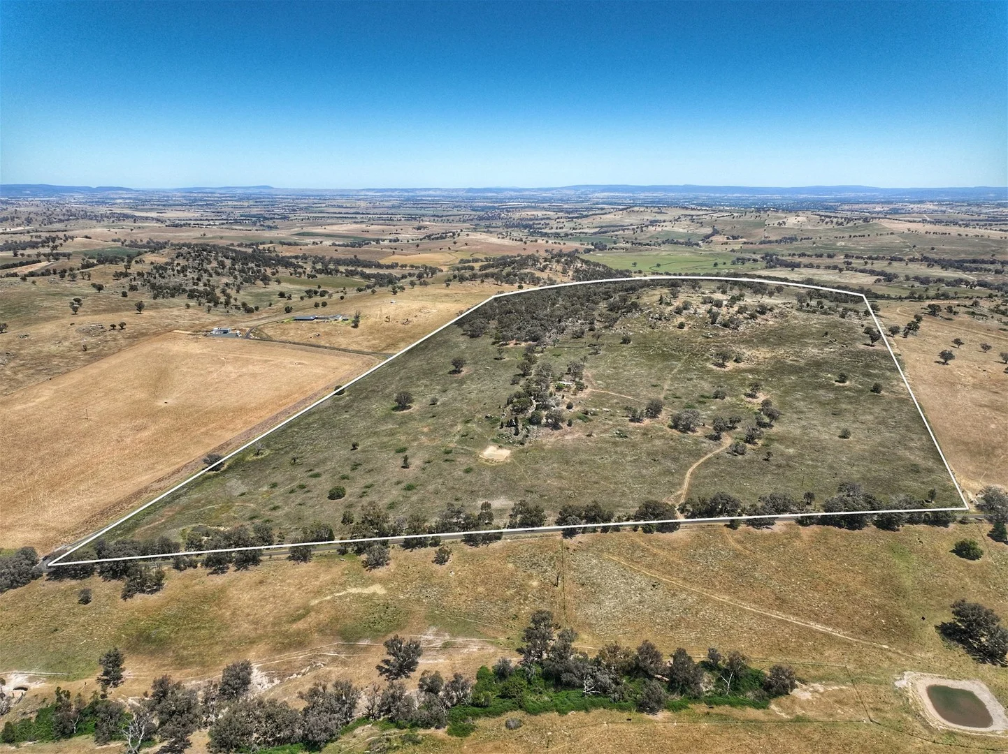 1294 Pine Mount Road, Woodstock NSW 2793