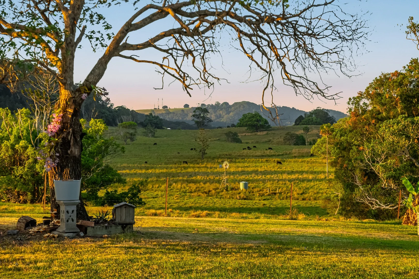Additional image 33 of 428 Old Bagotville Road, Meerschaum Vale NSW 2477