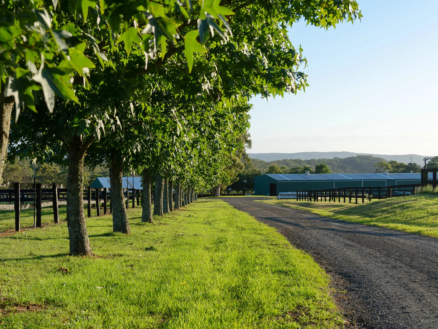 Additional image 24 of 176 Greta Road, Kulnura NSW 2250