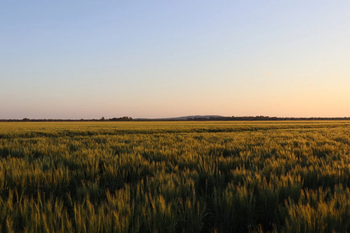 Additional image 9 of 19 - 'Kelinda'/1411 Moura-Bindaree Road, Moura QLD 4718