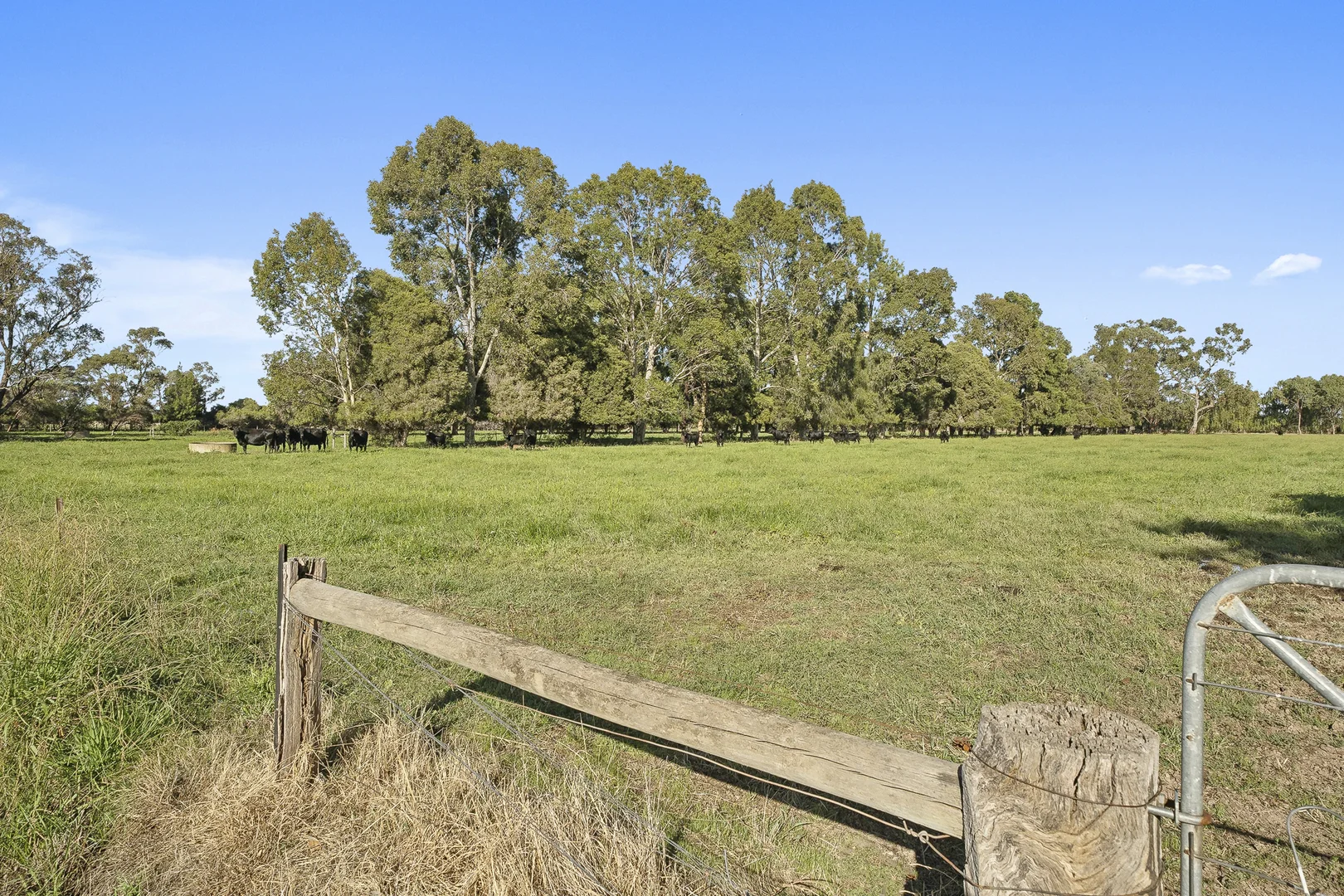 Additional image 18 of 649 Mason Road, Girgarre VIC 3624