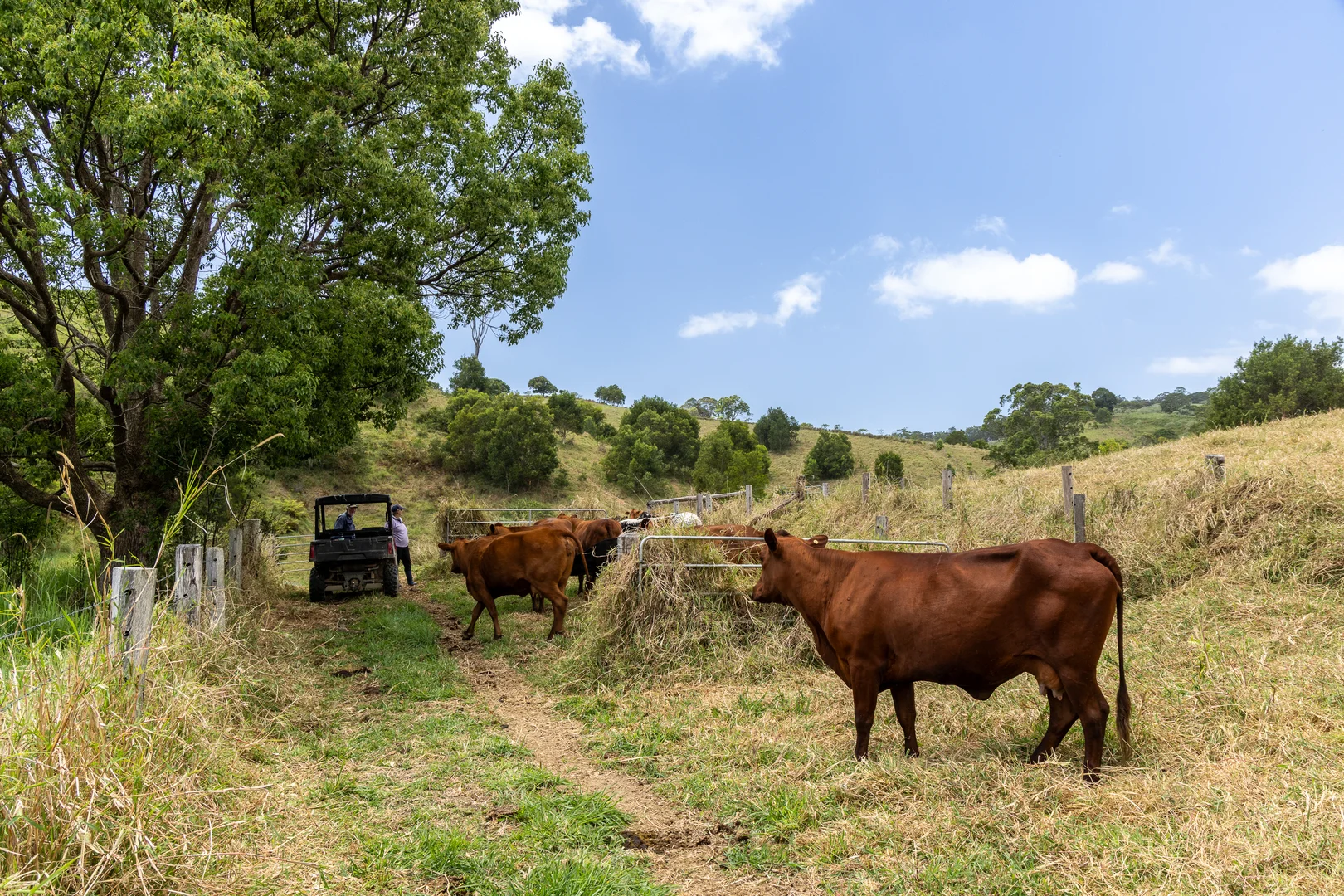 Additional image 21 of Cootharaba QLD 4565