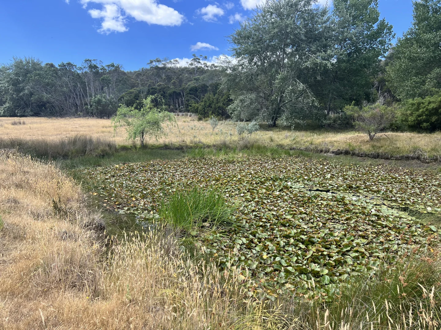 Additional image 29 of 2204 East Tamar Highway, Mount Direction TAS 7252