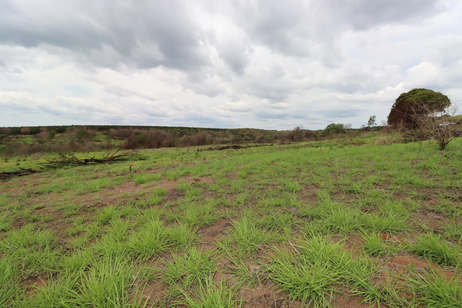 Additional image 5 of 532 Lynwood Road, North Isis QLD 4660