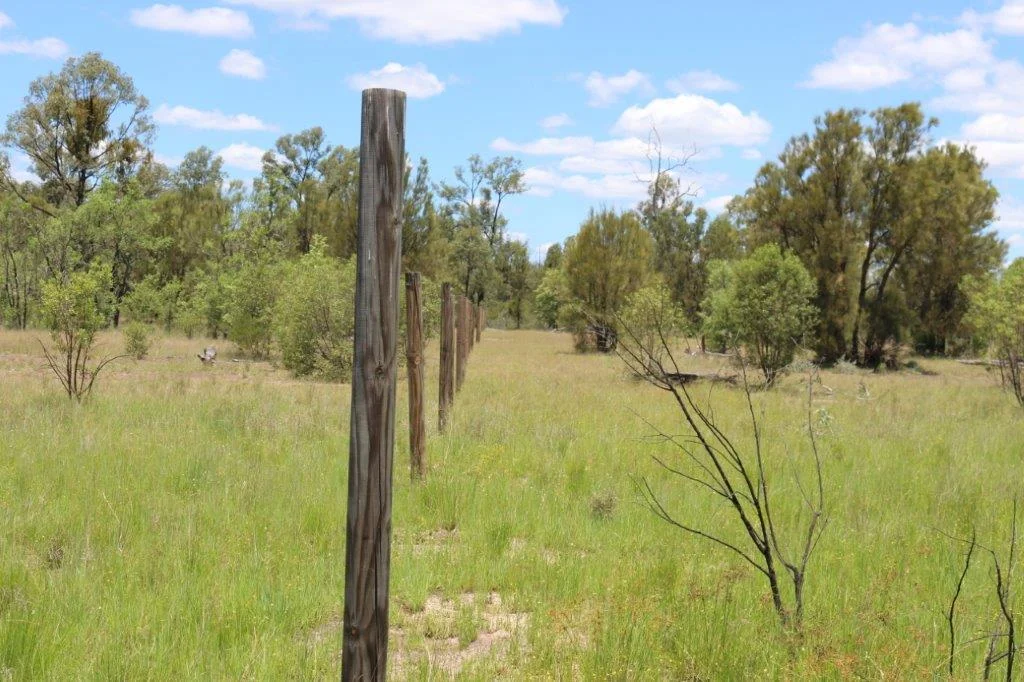 Additional image 3 of Tara QLD 4421