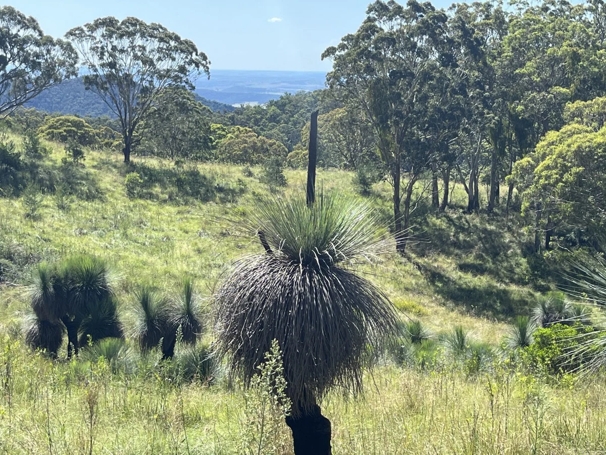 Additional image 3 of Lot 1 Dormans Gully, Bunya Mountains QLD 4405
