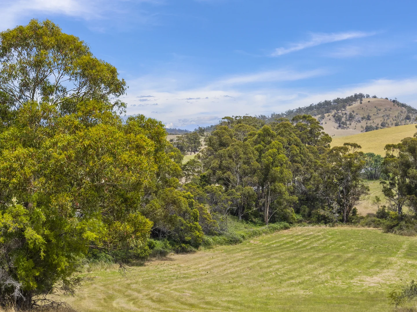 Additional image 28 of 1 Aldridge Road, Orielton TAS 7172