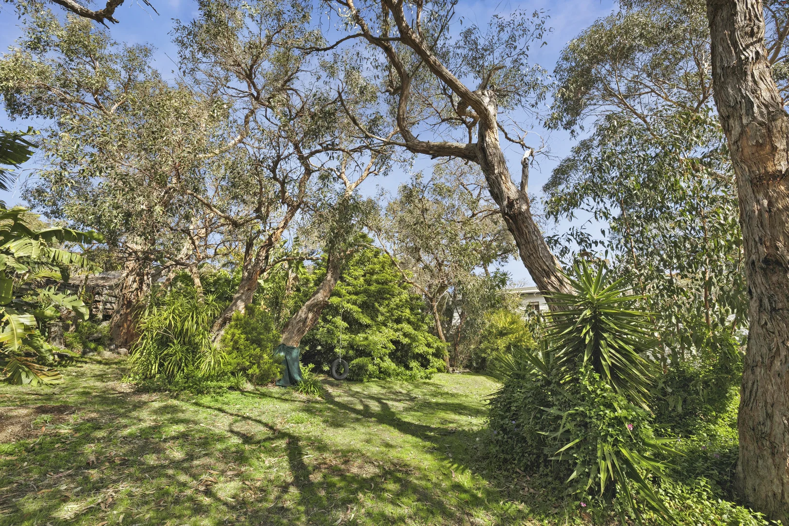 Additional image 6 of 71 Fraser Avenue, Anglesea VIC 3230