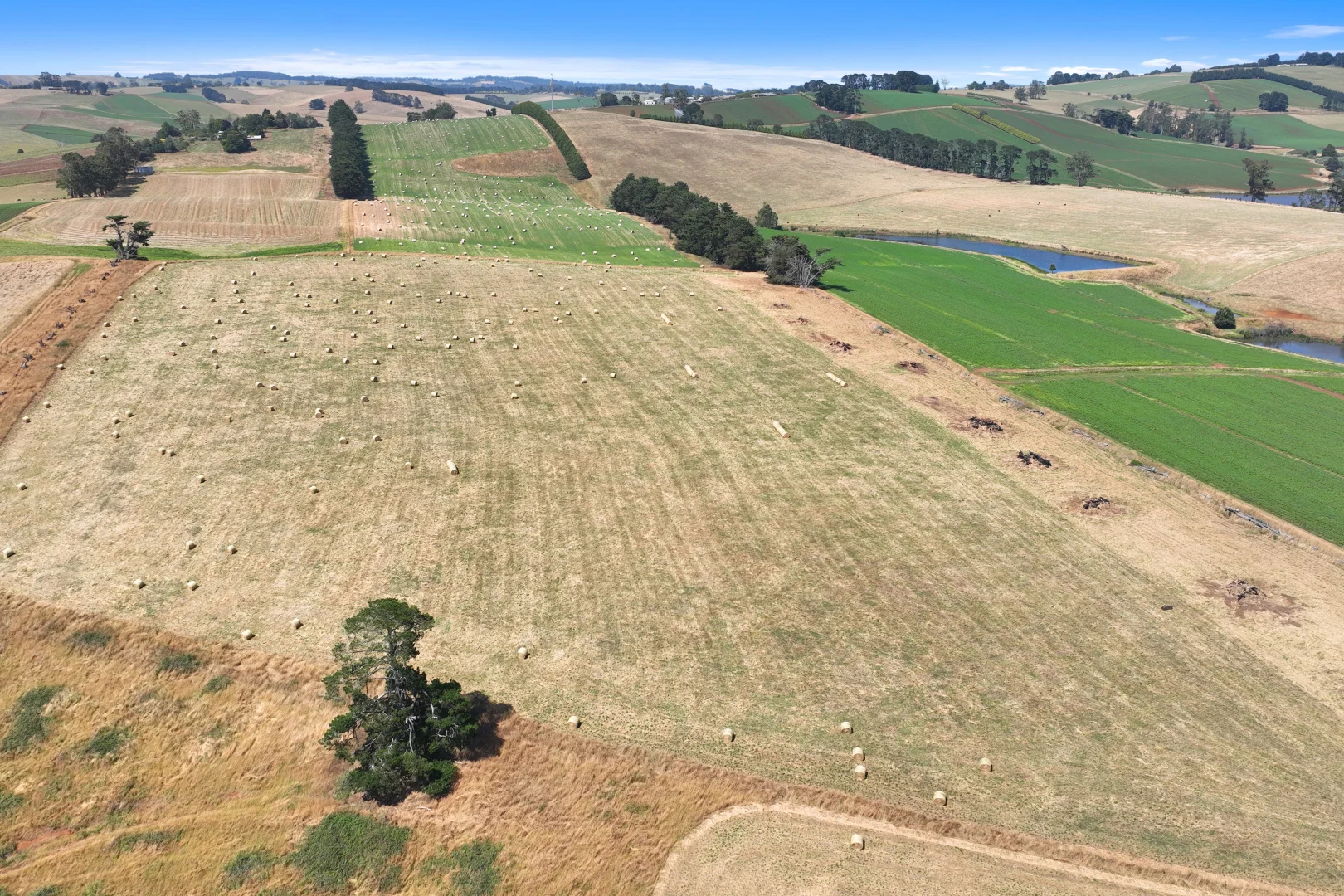 Additional image 9 of Lot 2/107 Cooks Road, Thorpdale VIC 3835