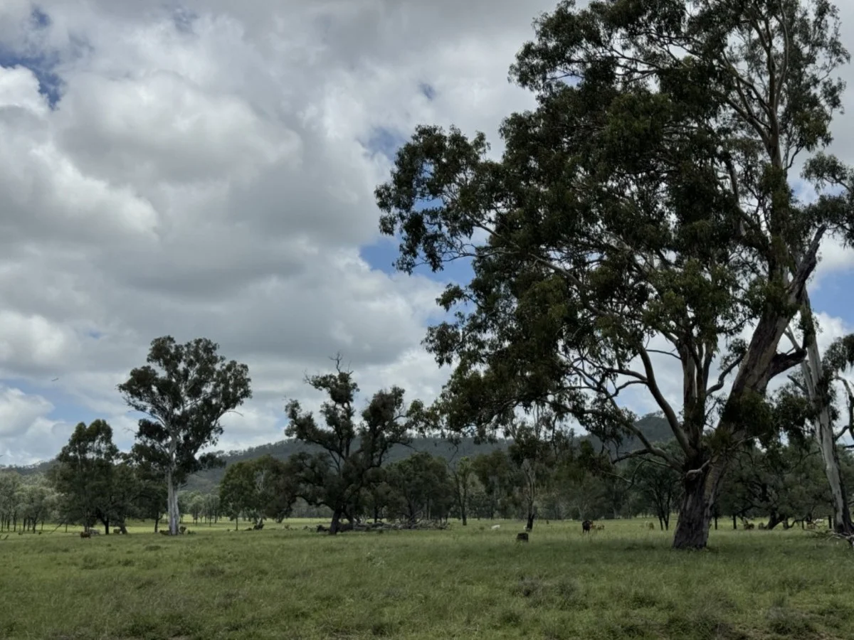 Additional image 27 of 2655 Clonmel Road, Monto QLD 4630