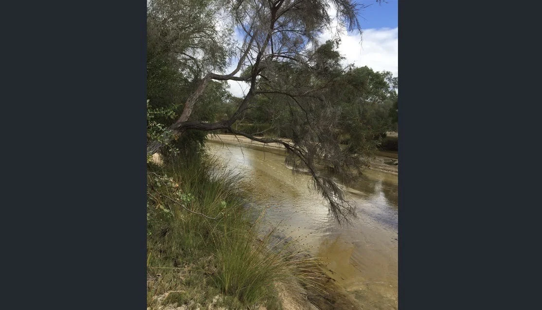 Additional image 33 of 184 Melbourne Road, Wanerie WA 6503