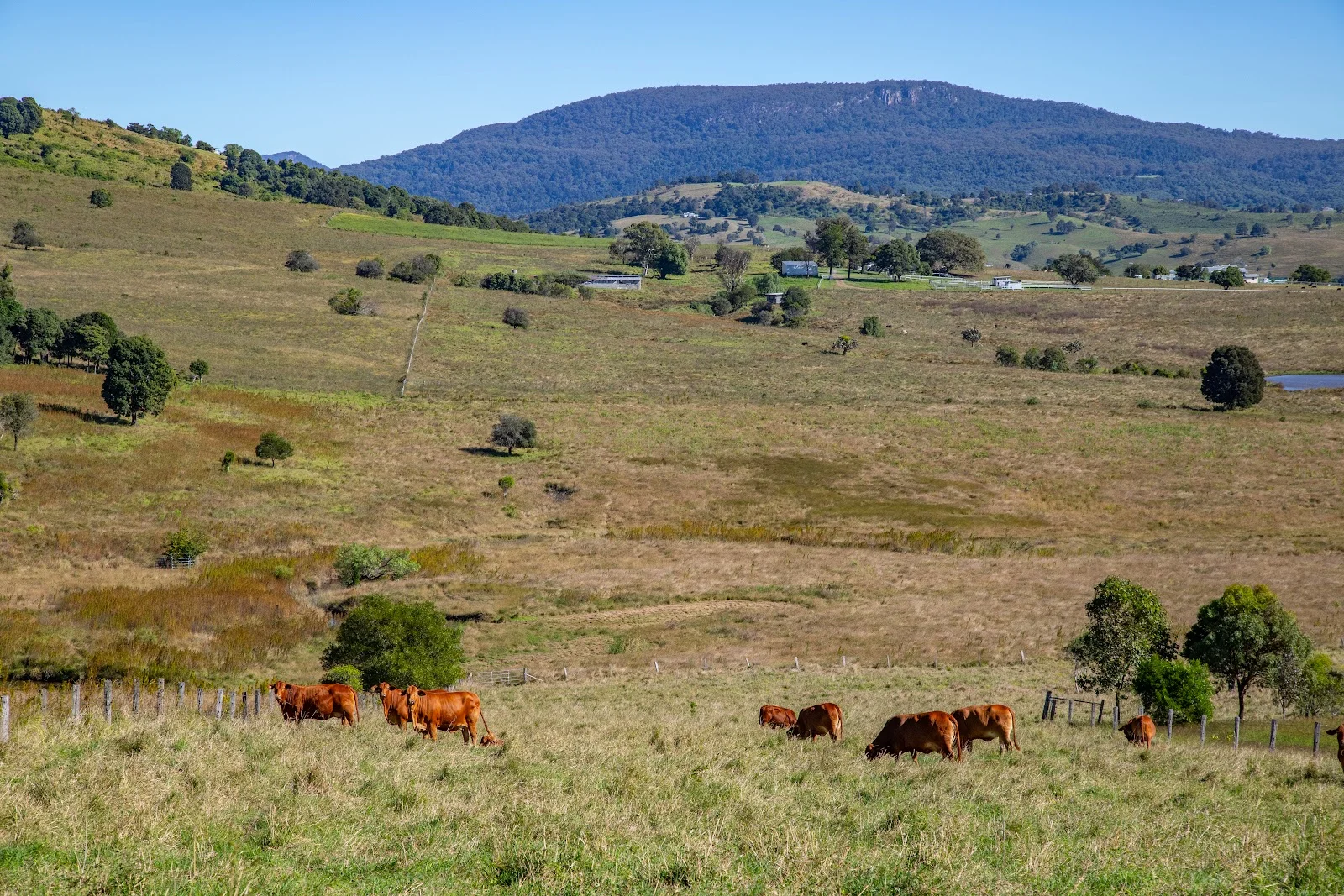 Additional image 20 of 52 Milford Middle Road, Milford QLD 4310