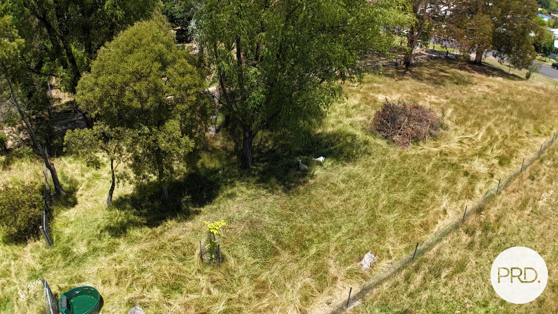 Additional image 8 of Lot 1/120 Gilbert Street, Tumbarumba NSW 2653