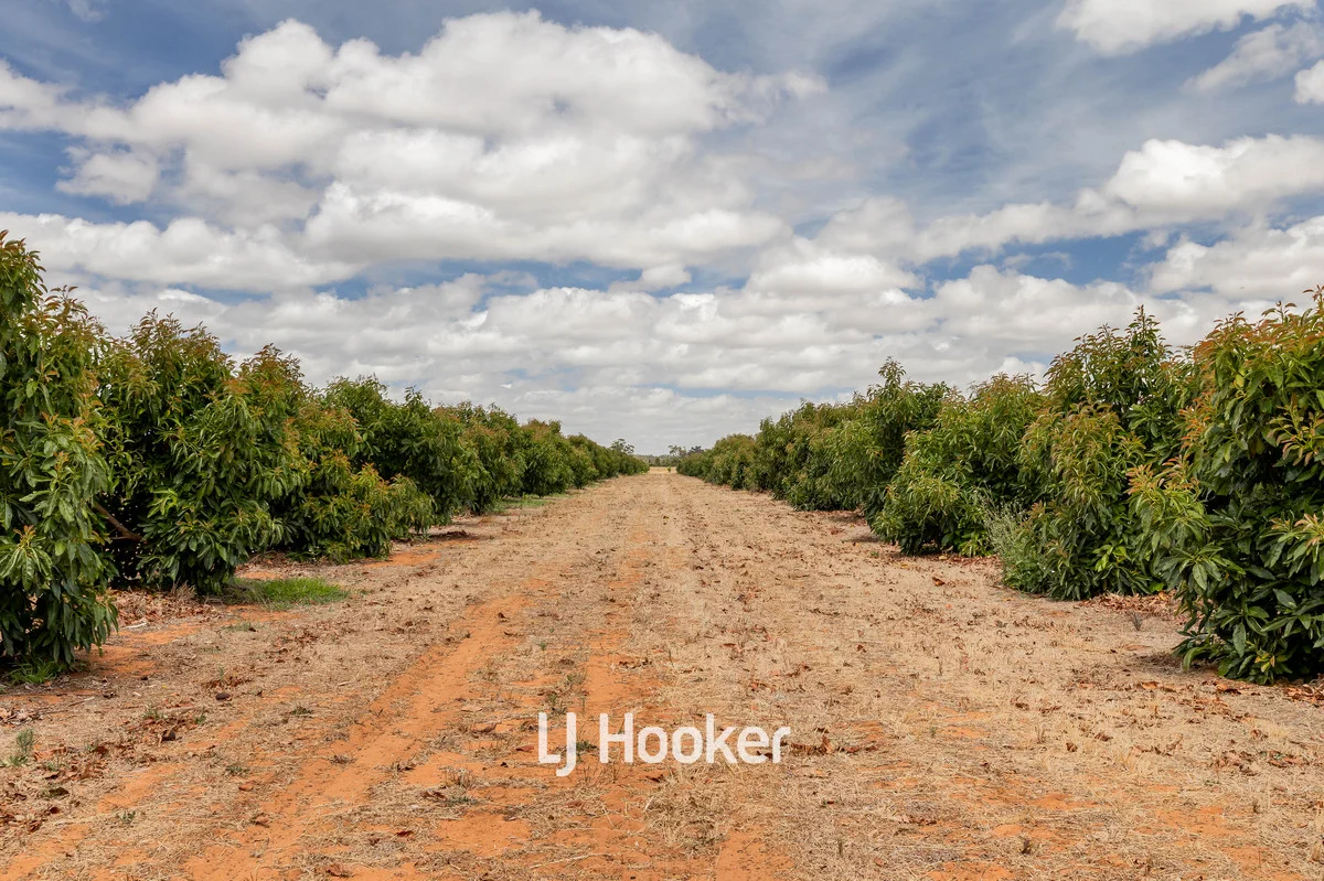 Additional image 12 of 73 Payne Road, Kaloorup WA 6280