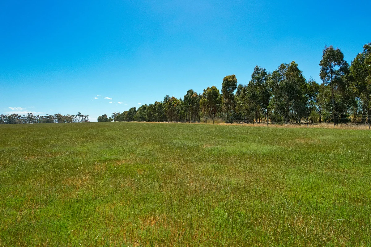 Additional image 6 of 1834 Lismore-Skipton Road, Bradvale VIC 3361