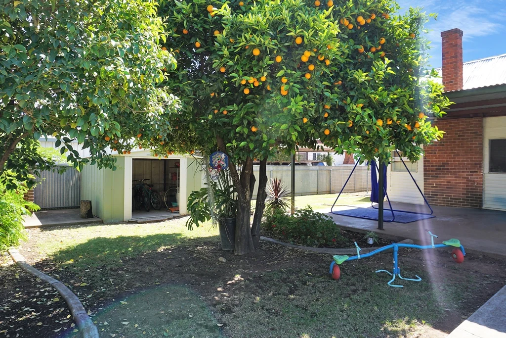 Additional image 11 of 74 Church Street, West Wyalong NSW 2671