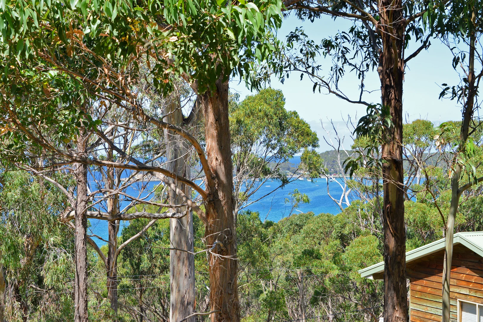 Additional image 5 of 142 Blowhole Road, Eaglehawk Neck TAS 7179