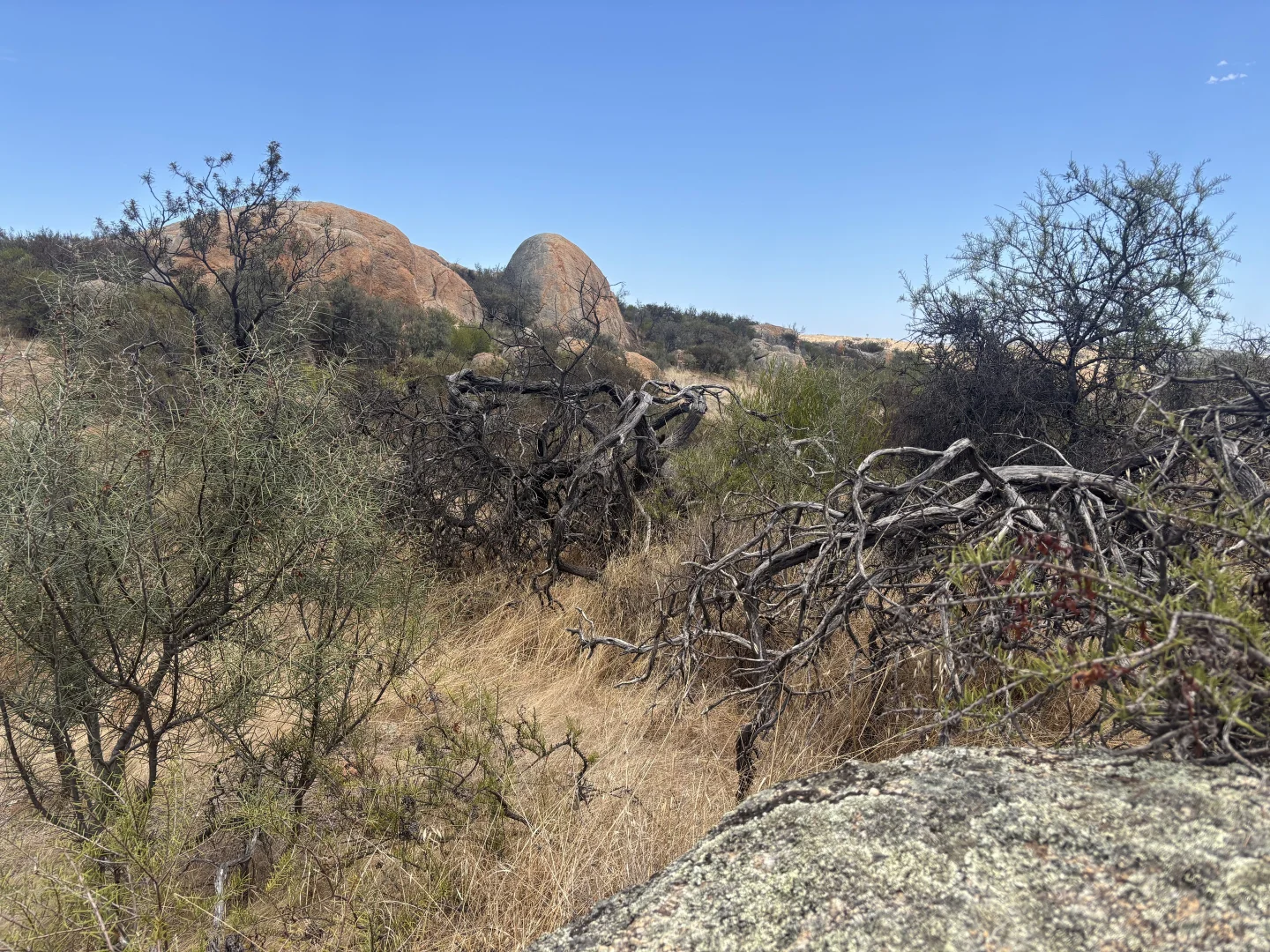 Additional image 23 of Lot 65 Forrester Road, Mount Erin WA 6532