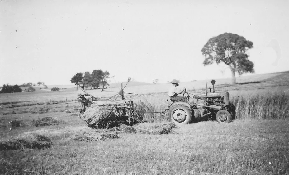 Additional image 14 of Lot 20 & 21 Newman Road, Charleston SA 5244